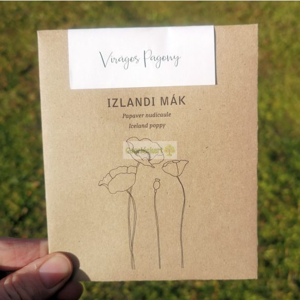 Izlandi mák mag