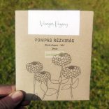 Pompás rézvirág mag