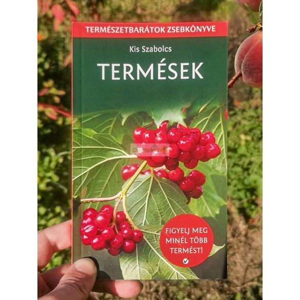 Termések (Kis Szabolcs)