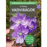 Vadvirágok (Kis Szabolcs)