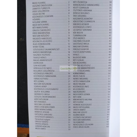 Vadvirágok (Kis Szabolcs)