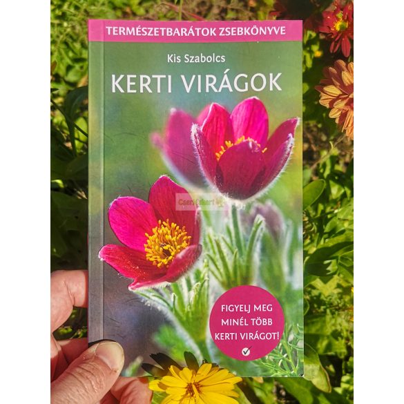 Kerti virágok (Kis Szabolcs)