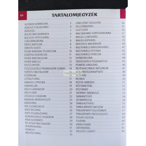 Kerti virágok (Kis Szabolcs)