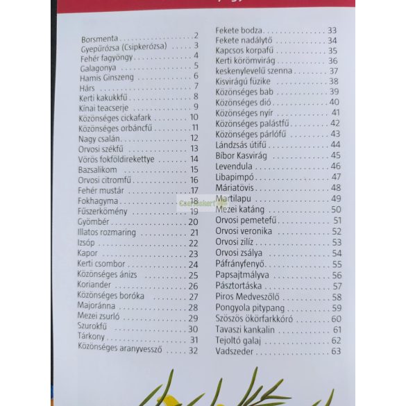 Gyógynövények (Kissné Dogossy Éva)